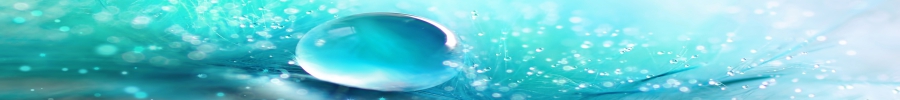 SANASA